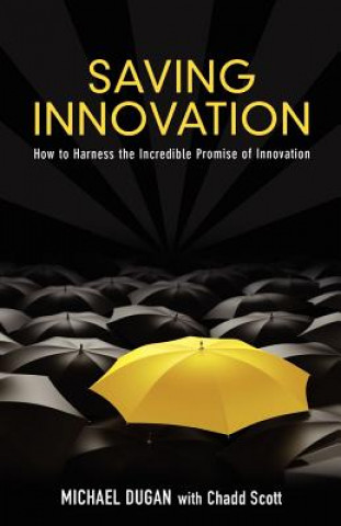 Saving Innovation: How to Harness the Incredible Promise of Innovation