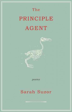 Principle Agent