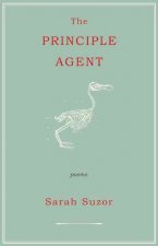 Principle Agent