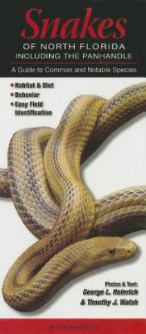Snakes of Northern Florida Including the Panhandle: A Guide to Common & Notable Species