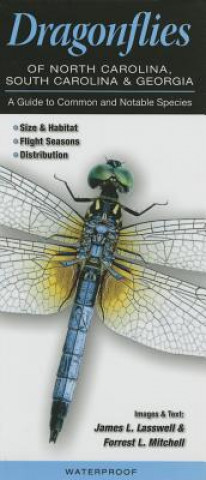 Dragonflies of North Carolina, South Carolina, and Georgia: A Guide to Common & Notable Species