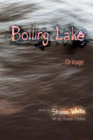 Boiling Lake (on Voyage): Very Short Stories (Color Edition)