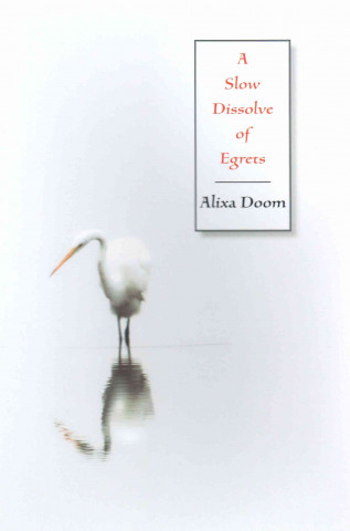 A Slow Dissolve of Egrets