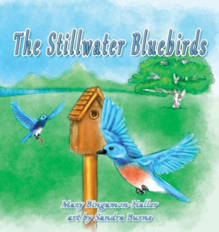 The Stillwater Bluebirds