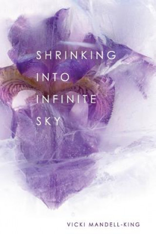 Shrinking Into Infinite Sky