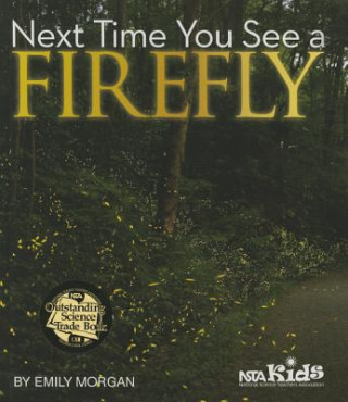 Next Time You See a Firefly