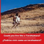 Could you live like a Tarahumara? ?Podrias vivir como un tarahumara? Bilingual Spanish and English