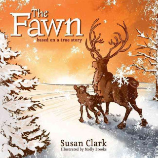 The Fawn and Majesty Companion Book Set