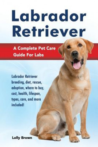 Labrador Retriever: Labrador Retriever Breeding, Diet, Rescue, Adoption, Where to Buy, Cost, Health, Lifespan, Types, Care, and More Inclu