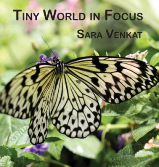 Tiny World in Focus