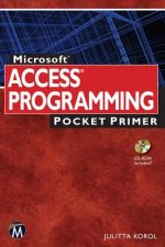 Access Programming : Pocket Primer