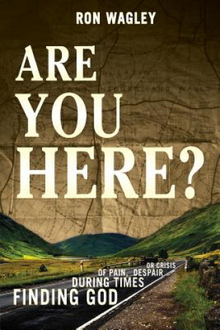 Are You Here?: Finding God During Times of Pain, Despair or Crisis