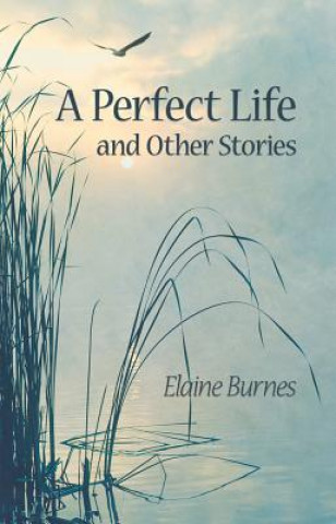Perfect Life and Other Stories