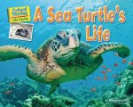 A Sea Turtle's Life