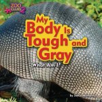 My Body Is Rough and Gray (Armadillo)