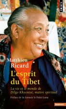 Esprit Du Tibet. La Vie Et Le Monde de Dilgo Khyents', Ma+tre Spirituel(l')