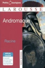 Andromaque. Mit Materialien