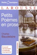Petits Poemes En Prose
