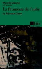 Promesse de Aube ROM Gar