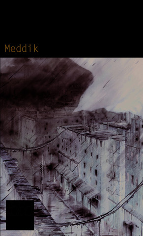 Meddik