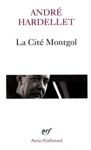 Cite Montgol Le Luisan