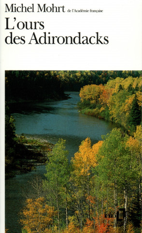 Ours Des Adirondacks