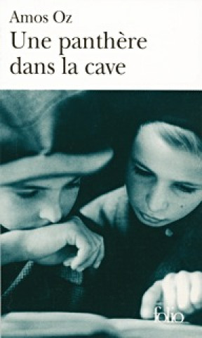 Panthere Dans La Cave
