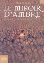 Miroir D Ambre