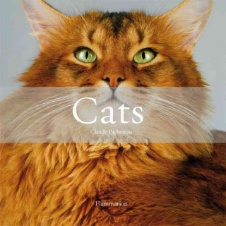 Cats: The Most Beautiful Cats/Cat Tales