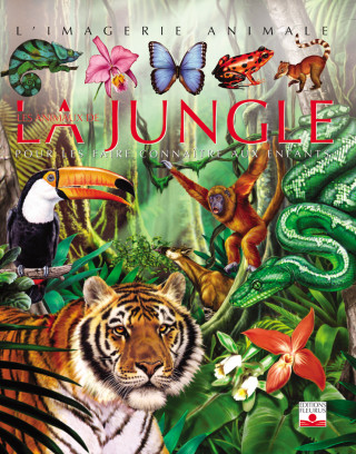 Animaux de La Jungle