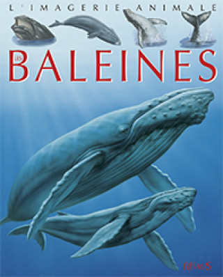 Baleines