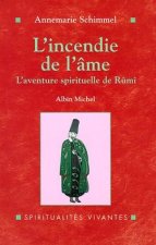 Incendie de L'Ame (L')