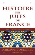 Histoire Des Juifs de France - Tome 1