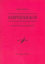 Amphiaraos: Guerrier, Devin Et Guerisseur