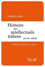 Histoire Des Intellectuels Italiens Au Xxe Siecle: Prophetes, Philosophes Et Experts