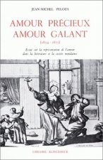 Amour Precieux, Amour Galant: Sur La Representation de L'Amour Dans La Litterature Et La Societe Mondaines (1654-1675)