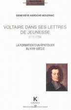 Voltaire Dans Ses Lettres de Jeunesse (1711-1733): La Formation D'Un Epistolier Au Xviiie Siecle