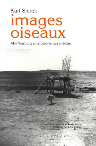 Images Oiseaux: Aby Warburg Et La Theorie Des Medias.