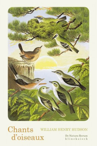 Chants D'Oiseaux