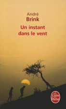 Un Instant Dans Le Vent