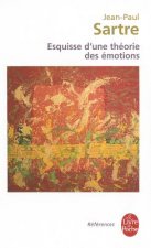 Esquisse D'Une Theorie Des Emotions