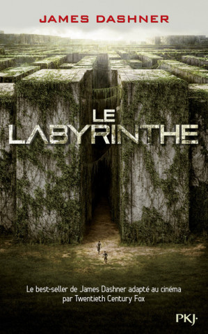 Le Labyrinthe 3. L'épreuve