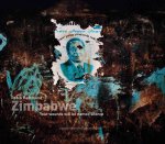 Robin Hammond: Zimbabwe: Your Wounds Will Be Named Silence