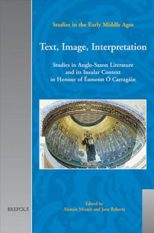 Text, Image, Interpretation: Studies in Anglo-Saxon Literature and Its Insular Context in Honour of Amonn O Carragin