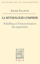 La Mythologie Comprise: Schelling Et L'Interpretation Du Paganisme