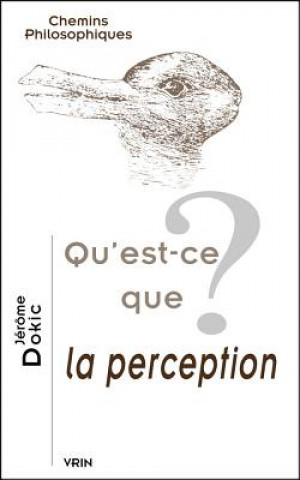 Qu'est-Ce Que La Perception?