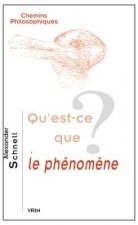 Qu'est-Ce Que Le Phenomene?