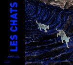 Chats Racont's Aux Enfants(les)