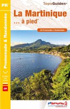 Martinique a Pied NED - 972 - PR - D972