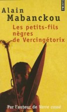 Petits-Fils N'Gres de Vercing'torix(les)